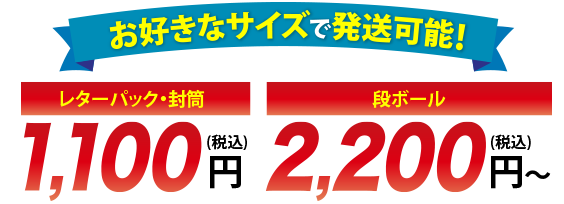 初回限定！特別価格