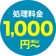 処理料金 1000円~